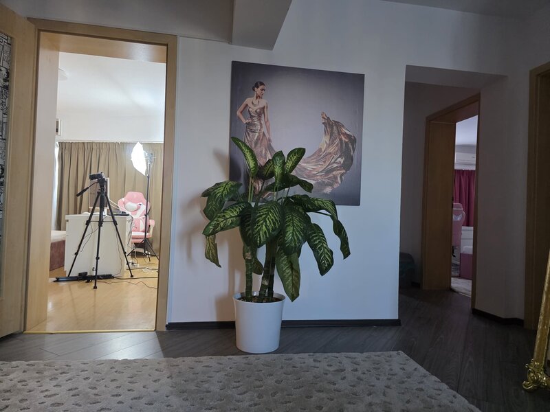 Modele videochat Rond Alba Iulia, Decebal.