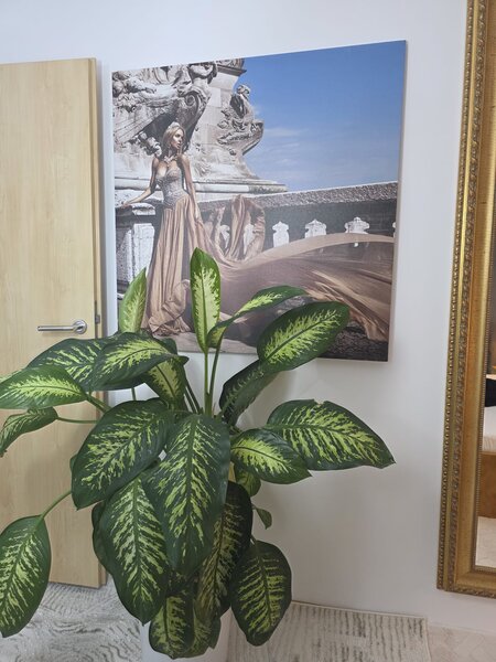 Modele videochat Rond Alba Iulia, Decebal.